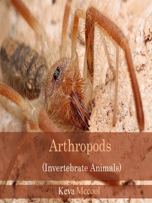 cover image of Arthropods
